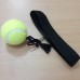 Файтбол (fight ball)